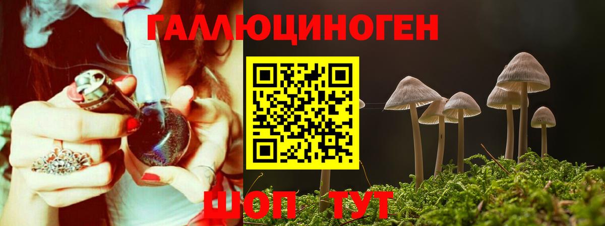 Луга  Псилоцибиновые грибы мицелий  Псилоцибиновые грибы Cubensis  Вход с VPN 