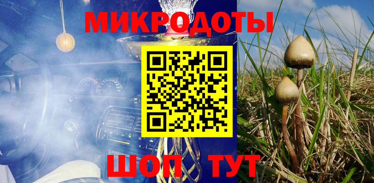 Псилоцибиновые грибы мицелий Луга