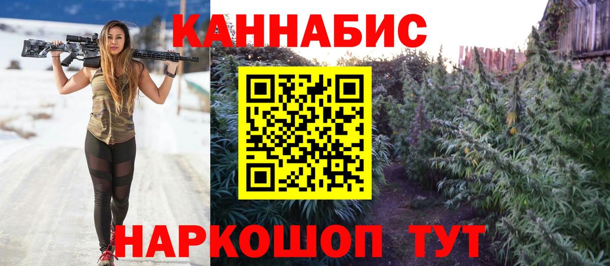 Бошки Шишки гибрид Луга